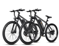 Standard Bike 48V10.4Ah