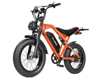 Bike With Rear Rack + Foot Pedal