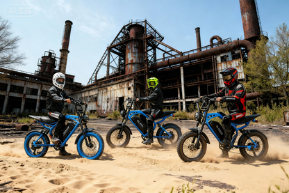 Eskute® V200 20*4.0" Dirt Electric Bike for Kids&Teens