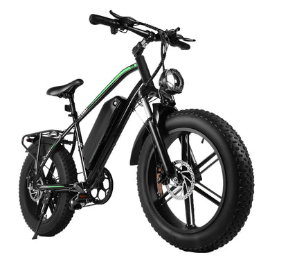 Ride Revolt® R7 Cruiser (750W)